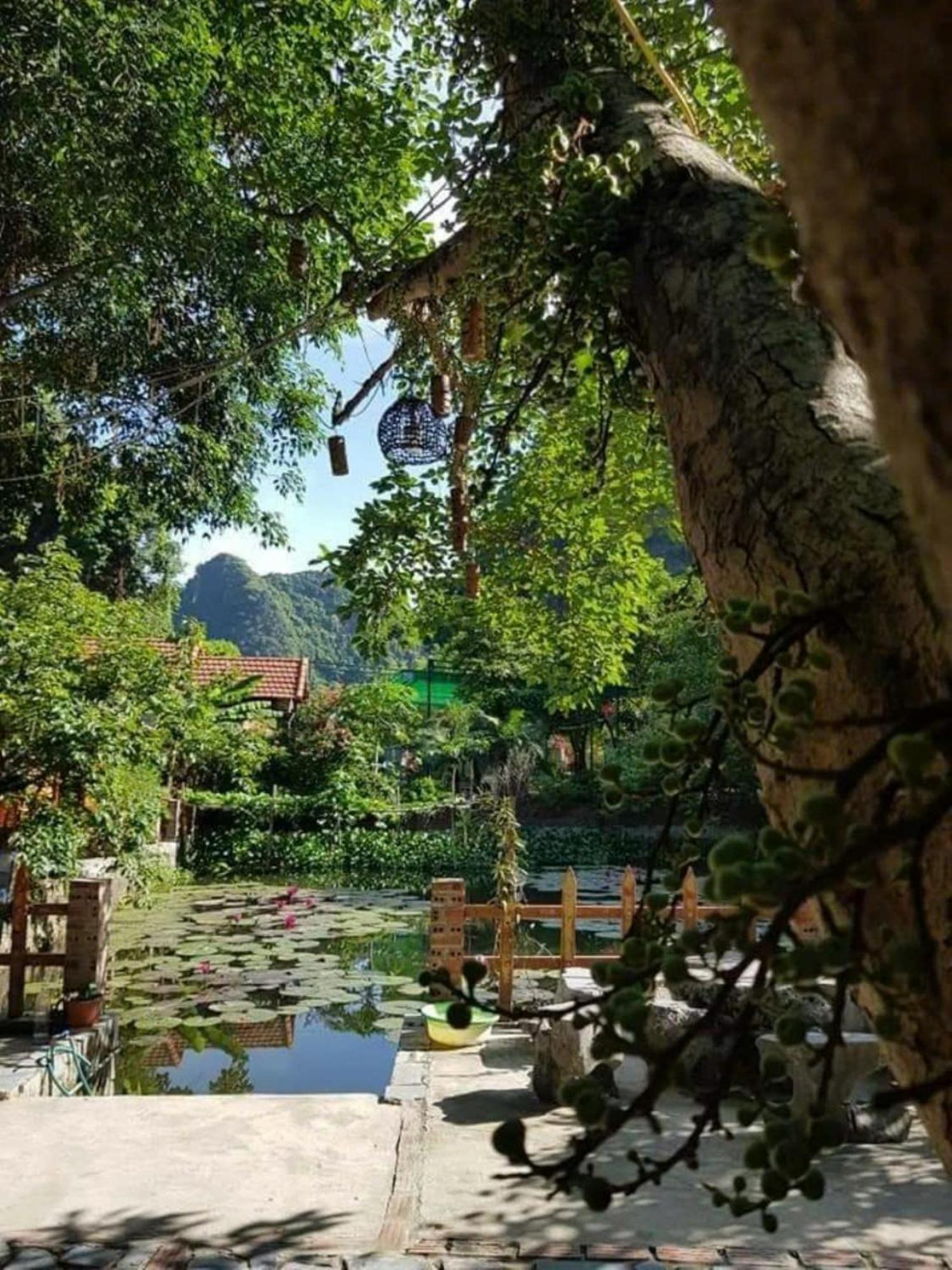 Hoalu Backpacker Homestay Νιν Μπιν Εξωτερικό φωτογραφία