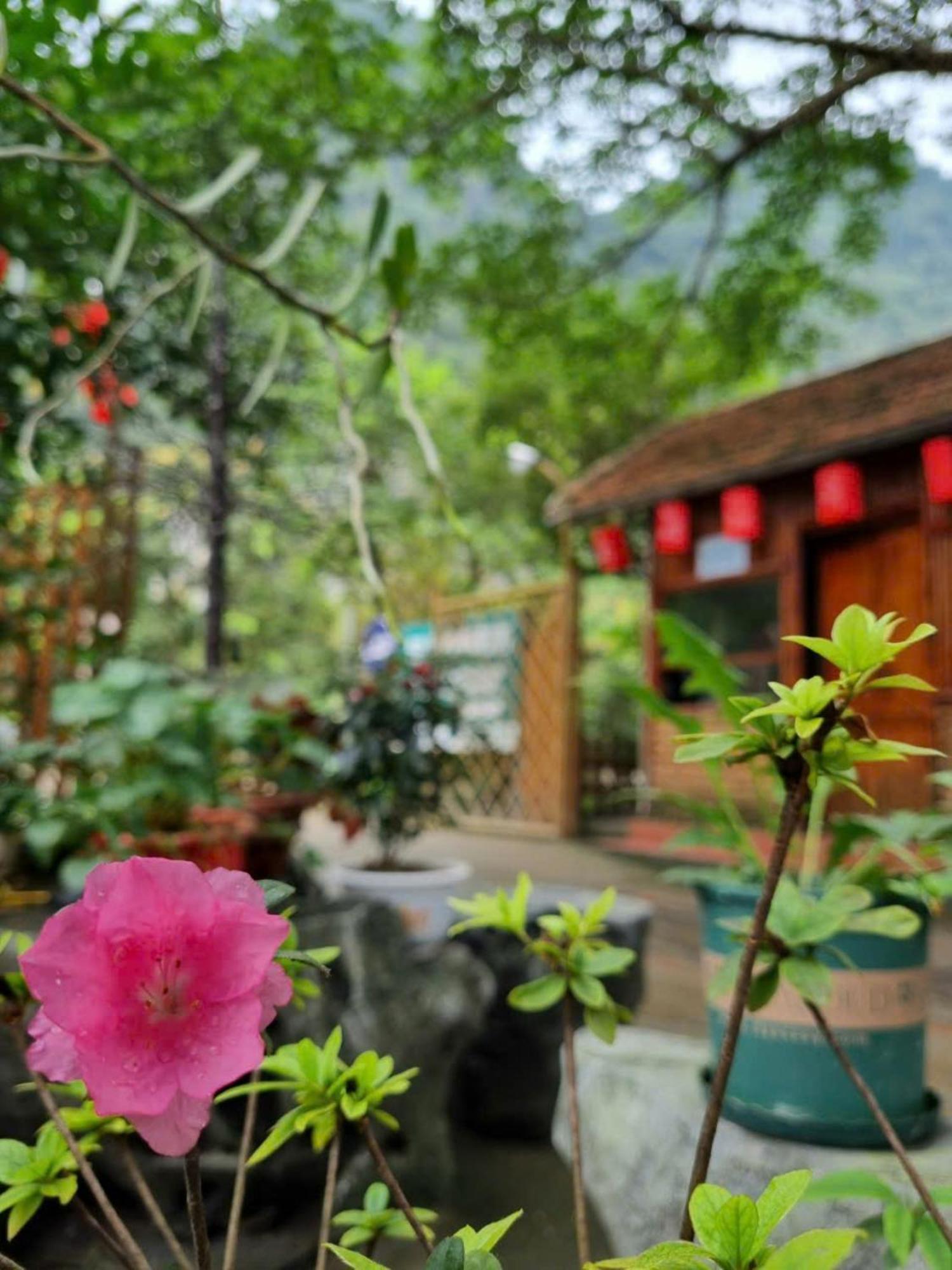 Hoalu Backpacker Homestay Νιν Μπιν Εξωτερικό φωτογραφία