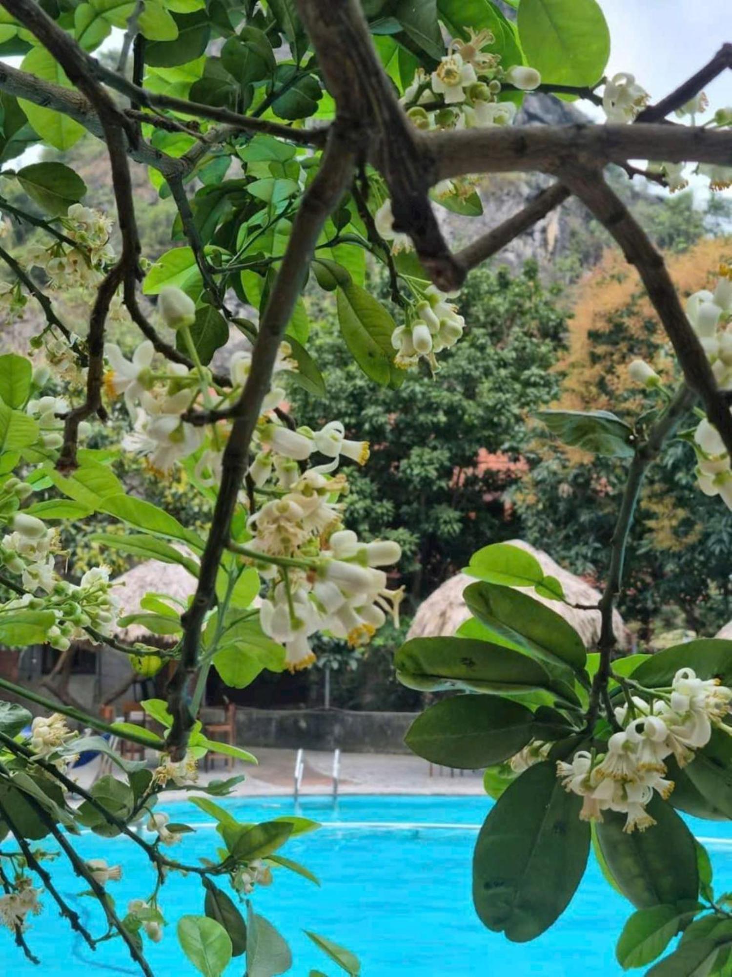 Hoalu Backpacker Homestay Νιν Μπιν Εξωτερικό φωτογραφία